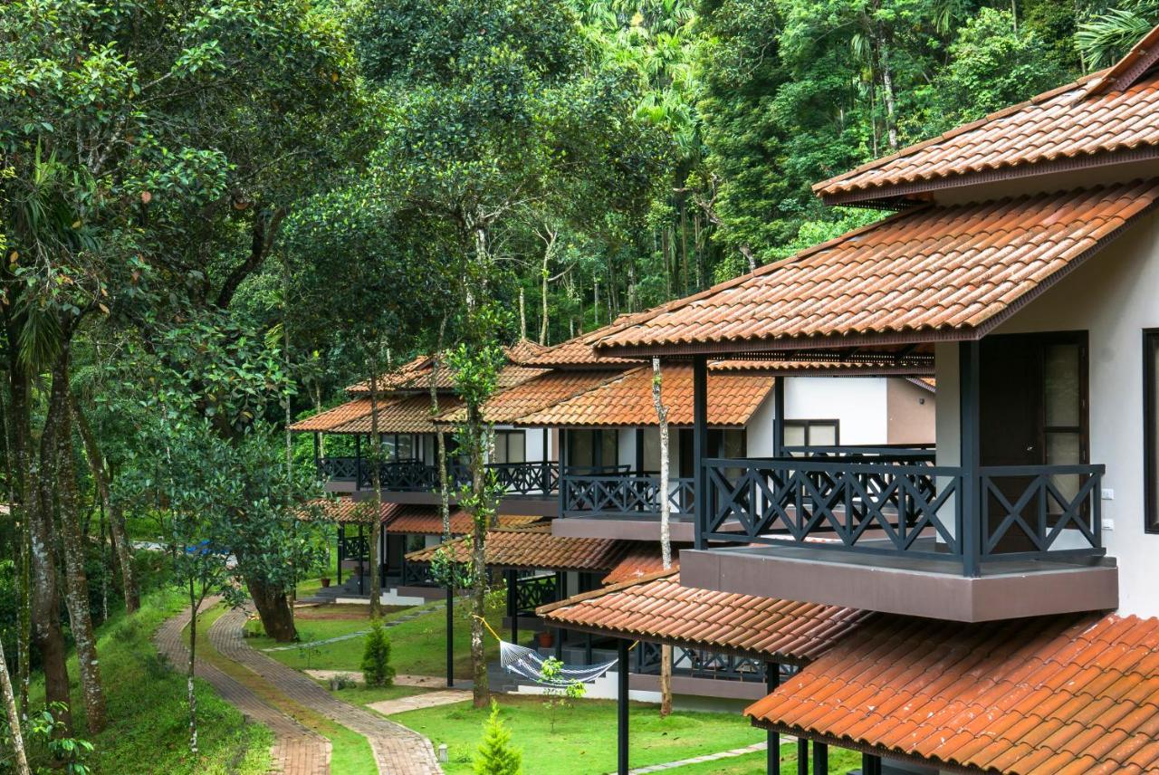 The Serenity Resort Tariyod 외부 사진